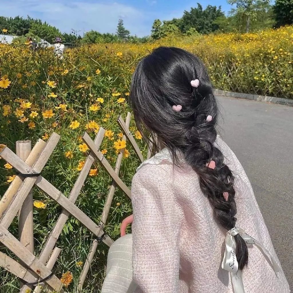 总统的蛋糕